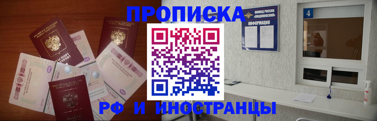 прописка ребенка в Волоколамске
